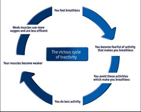 vicous-cycle-of-inactivity.jpg